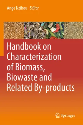 Nzihou |  Handbook on Characterization of Biomass, Biowaste and Related By-products | eBook | Sack Fachmedien