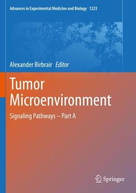 Birbrair | Tumor Microenvironment | Buch | 978-3-030-35584-5 | sack.de