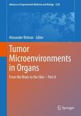 Birbrair |  Tumor Microenvironments in Organs | Buch |  Sack Fachmedien