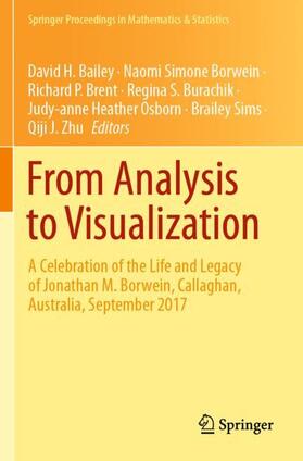 Bailey / Borwein / Brent | From Analysis to Visualization | Buch | 978-3-030-36570-7 | sack.de