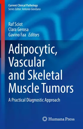 Sciot / Gerosa / Faa |  Adipocytic, Vascular and Skeletal Muscle Tumors | Buch |  Sack Fachmedien