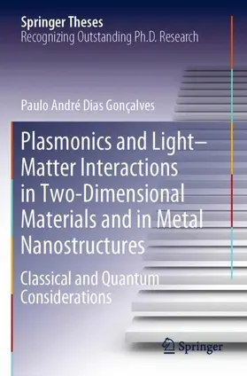 Gonçalves |  Plasmonics and Light-Matter Interactions in Two-Dimensional Materials and in Metal Nanostructures | Buch |  Sack Fachmedien
