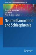 Khandaker / Jones / Meyer |  Neuroinflammation and Schizophrenia | Buch |  Sack Fachmedien
