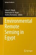 Elbeih / Kostianoy / Negm |  Environmental Remote Sensing in Egypt | Buch |  Sack Fachmedien