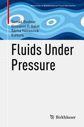 Bodnár / Necasová / Galdi |  Fluids Under Pressure | Buch |  Sack Fachmedien