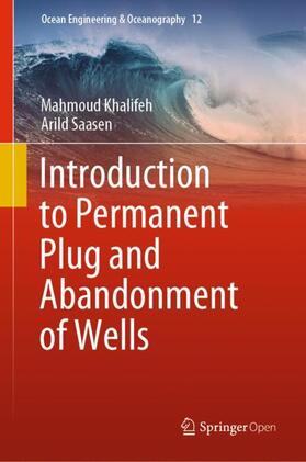 Saasen / Khalifeh | Introduction to Permanent Plug and Abandonment of Wells | Buch | 978-3-030-39969-6 | sack.de