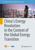 Shell International B.V. / Development Research Center DRC / The Development Research Center (DRC) of the State Council of the People’s Republic of China |  China's Energy Revolution in the Context of the Global Energy Transition | Buch |  Sack Fachmedien