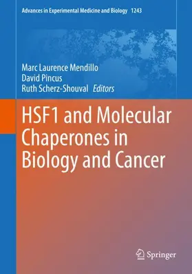Mendillo / Pincus / Scherz-Shouval |  HSF1 and Molecular Chaperones in Biology and Cancer | Buch |  Sack Fachmedien