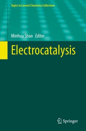 Shao | Electrocatalysis | Buch | 978-3-030-43293-5 | sack.de