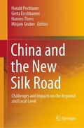 Pechlaner / Gruber / Erschbamer |  China and the New Silk Road | Buch |  Sack Fachmedien