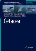 Weir / Evans / Rasmussen |  Cetacea | Buch |  Sack Fachmedien