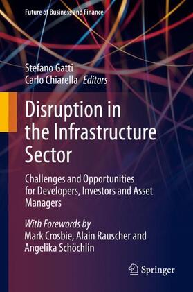 Chiarella / Gatti | Disruption in the Infrastructure Sector | Buch | sack.de