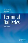 Dekel / Rosenberg |  Terminal Ballistics | Buch |  Sack Fachmedien