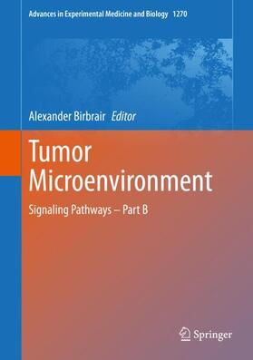 Birbrair | Tumor Microenvironment | Buch | 978-3-030-47188-0 | sack.de