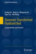 Xu / Lu / Wang |  Diameter-Transformed Fluidized Bed | Buch |  Sack Fachmedien
