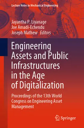 Liyanage / Amadi-Echendu / Mathew | Engineering Assets and Public Infrastructures in the Age of Digitalization | E-Book | sack.de