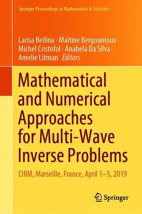 Beilina / Bergounioux / Litman | Mathematical and Numerical Approaches for Multi-Wave Inverse Problems | Buch | 978-3-030-48633-4 | sack.de