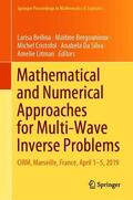 Beilina / Bergounioux / Litman |  Mathematical and Numerical Approaches for Multi-Wave Inverse Problems | Buch |  Sack Fachmedien