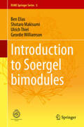 Elias / Makisumi / Thiel |  Introduction to Soergel Bimodules | eBook | Sack Fachmedien