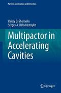 Belomestnykh / Shemelin |  Multipactor in Accelerating Cavities | Buch |  Sack Fachmedien