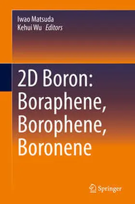 Matsuda / Wu | 2D Boron: Boraphene, Borophene, Boronene | E-Book | www.sack.de
