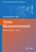 Birbrair |  Tumor Microenvironment | eBook | Sack Fachmedien