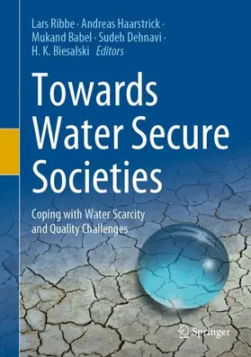 Ribbe / Haarstrick / Biesalski |  Towards Water Secure Societies | Buch |  Sack Fachmedien