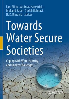 Ribbe / Haarstrick / Biesalski | Towards Water Secure Societies | Buch | 978-3-030-50655-1 | sack.de