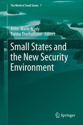 Thorhallsson / Brady | Small States and the New Security Environment | Buch | 978-3-030-51528-7 | sack.de