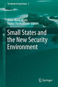 Brady / Thorhallsson |  Small States and the New Security Environment | eBook | Sack Fachmedien