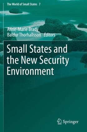 Thorhallsson / Brady | Small States and the New Security Environment | Buch | 978-3-030-51531-7 | sack.de