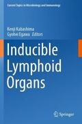 Egawa / Kabashima |  Inducible Lymphoid Organs | Buch |  Sack Fachmedien