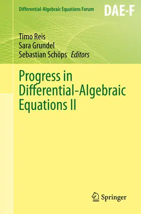Reis / Grundel / Schöps | Progress in Differential-Algebraic Equations II | E-Book | sack.de