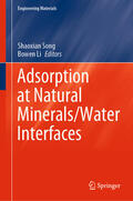 Song / Li |  Adsorption at Natural Minerals/Water Interfaces | eBook | Sack Fachmedien
