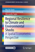De Siano / Leone Sciabolazza / Sapio |  Regional Resilience to Climate and Environmental Shocks | eBook | Sack Fachmedien
