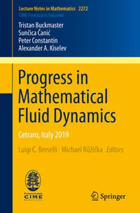 Buckmaster / Canic / Canic | Progress in Mathematical Fluid Dynamics | E-Book | sack.de