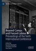 Bardgett / Schmidt / Stone |  Beyond Camps and Forced Labour | eBook | Sack Fachmedien