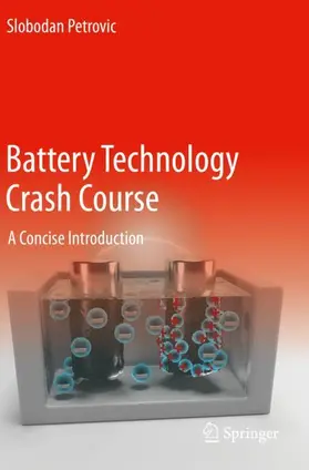 Petrovic |  Battery Technology Crash Course | Buch |  Sack Fachmedien