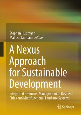 Jampani / Hülsmann | A Nexus Approach for Sustainable Development | Buch | sack.de