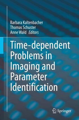 Kaltenbacher / Wald / Schuster | Time-dependent Problems in Imaging and Parameter Identification | Buch | 978-3-030-57783-4 | sack.de