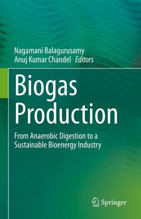 Chandel / Balagurusamy | Biogas Production | Buch | 978-3-030-58826-7 | sack.de