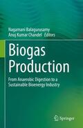 Chandel / Balagurusamy |  Biogas Production | Buch |  Sack Fachmedien