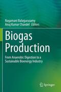 Chandel / Balagurusamy |  Biogas Production | Buch |  Sack Fachmedien