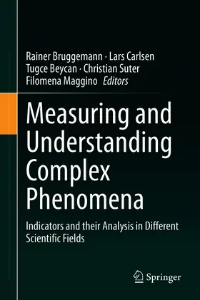 Bruggemann / Carlsen / Beycan | Measuring and Understanding Complex Phenomena | E-Book | www.sack.de