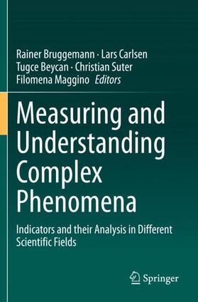 Bruggemann / Carlsen / Maggino |  Measuring and Understanding Complex Phenomena | Buch |  Sack Fachmedien