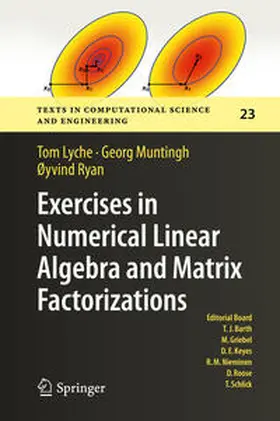 Lyche / Muntingh / Ryan | Exercises in Numerical Linear Algebra and Matrix Factorizations | E-Book | sack.de