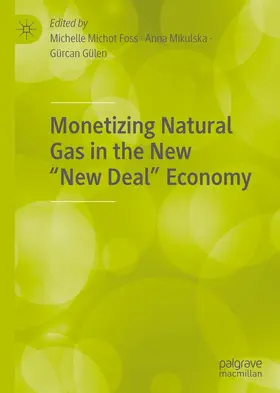 Michot Foss / Gülen / Mikulska |  Monetizing Natural Gas in the New "New Deal" Economy | Buch |  Sack Fachmedien