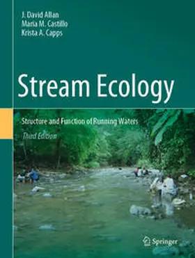 Allan / Castillo / Capps |  Stream Ecology | eBook | Sack Fachmedien