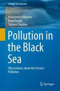 Pokazeev / Chaplina / Sovga |  Pollution in the Black Sea | Buch |  Sack Fachmedien