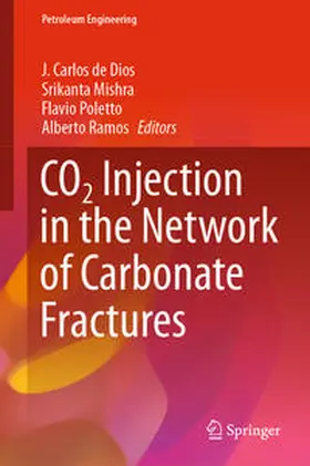 de Dios / Mishra / Poletto | CO2 Injection in the Network of Carbonate Fractures | E-Book | www.sack.de
